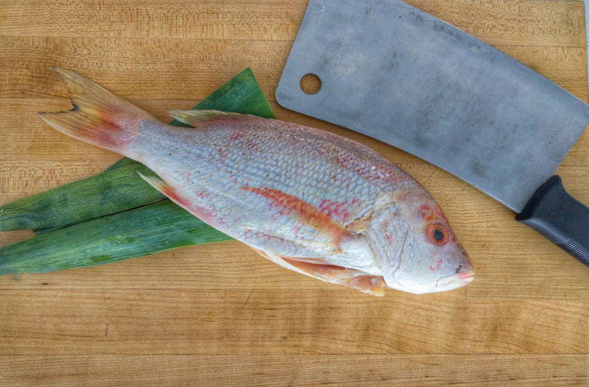 Caribbean Red Snapper | Wild Caught