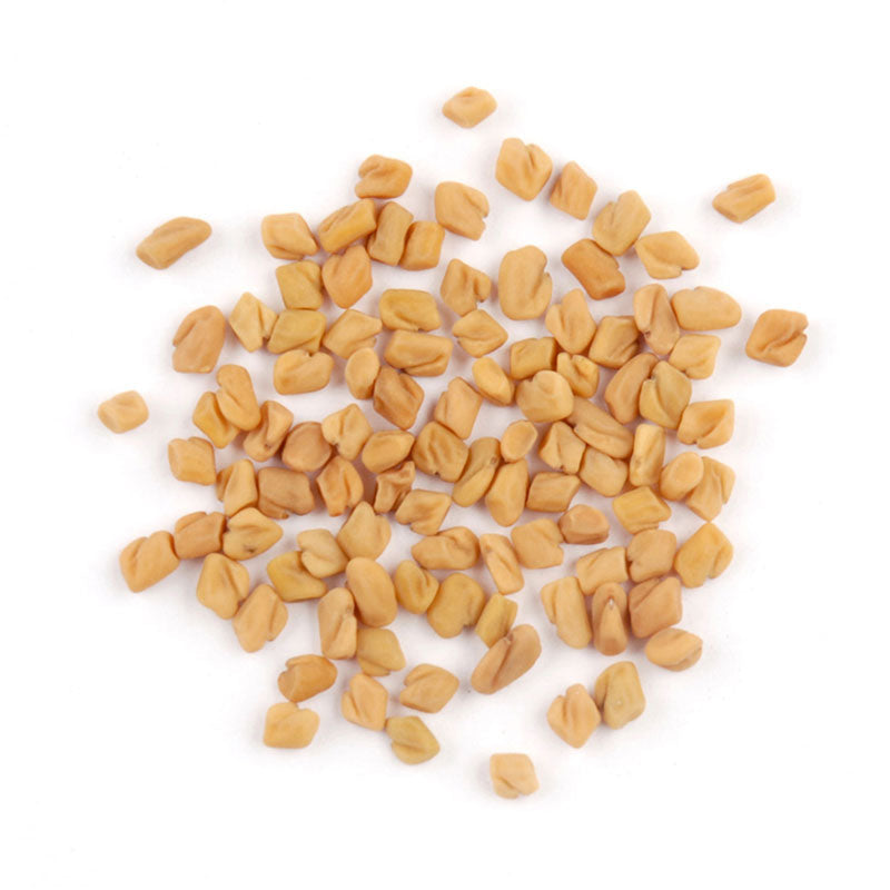 Fenugreek Seed