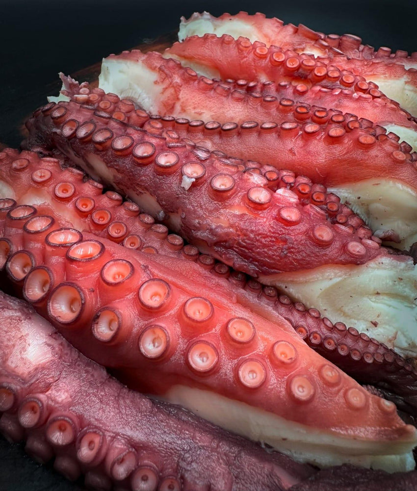 Jumbo Spanish Octopus