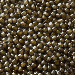 Osciètre Gold Caviar (Ossetra) | Kaviari