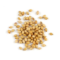 Coriander Seed, Whole