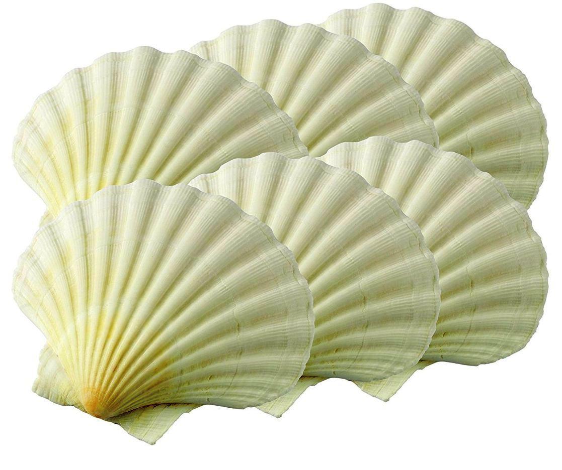 Natural Baking Seashells - Bake and Serve Right in the Shell